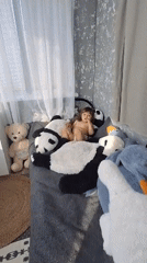 Toddler plays with stuffed pandas on bed in Russia