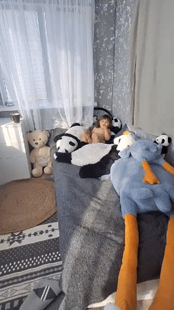 Toddler plays with stuffed pandas on bed in Russia