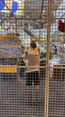 Visitor enjoys close bird encounters at Thailand wildlife attraction