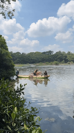 Lake wedding ceremony and fishing boats documented in Madapatha