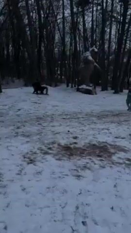 The video shows a snowy park with bare trees and a large troll statue. A young child in a green and grey snowsuit carries a green sled across the snowy ground. In the background, two people sit on a park bench. The scene is still and peaceful, with the sparse snow cover and bare trees suggesting a cold winter day. The lighting is dim, indicating it is likely early morning or late afternoon.