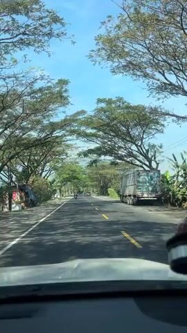 The video shows a view from inside a vehicle traveling down a road lined with trees. There are other vehicles on the road, including cars and motorcycles. The sky is blue and clear. The road appears to be paved.