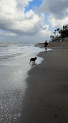 Morning beach activities captured at volcanic sand beach in Mengwi