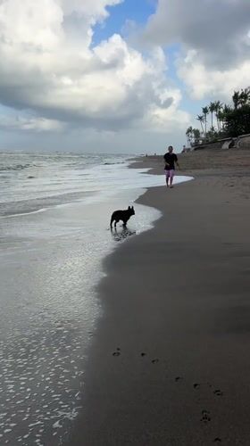 Morning beach activities captured at volcanic sand beach in Mengwi