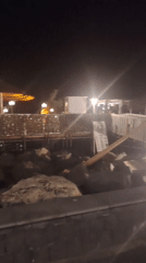 Nighttime at a coastal resort: shoreline, parked cars, live concert