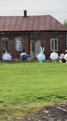 Rural Russian homes display colorful animal, cartoon lawn ornaments