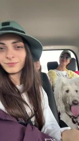 The video opens with a close-up selfie taken from the perspective of a young woman in the front passenger seat of a vehicle. She is wearing a green bucket hat and a white sweatshirt with a graphic on it. She smiles and winks at the camera. Behind her, in the second row of seats, are two other women and a white poodle mix dog. The woman in the middle seat is wearing a patterned top and smiling. The woman behind her is wearing a yellow cardigan over a white shirt and sunglasses, and she waves at the camera. The dog is seated between the two women and is panting with its tongue out. The vehicle appears to be moving, as indicated by the motion blur of the trees and scenery visible through the windows. The overall atmosphere is casual and cheerful, suggesting a road trip or outing with friends and a pet.