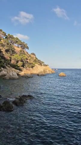 A vertical shot captures a rugged coastline with a rocky shore meeting the deep blue ocean under a clear sky with scattered white clouds. Lush green trees and sparse vegetation cover the sun-drenched hillside, which slopes down to the water's edge. Several large rocks dot the shoreline and emerge from the sea. The water appears calm with gentle ripples.