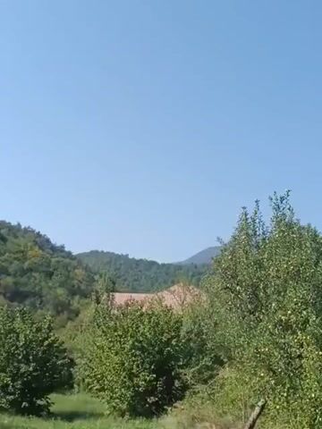 The video opens with a clear blue sky above a green, hilly landscape. In the foreground, there are several trees with lush green foliage. To the left, a portion of a hill covered in dense green trees is visible. In the middle ground, a house with a red roof peeks out from behind the trees. Further back, more rolling hills covered in trees stretch towards the horizon. In the lower left quadrant of the frame, two cows, one black and white and the other predominantly black, are grazing in a grassy field. The scene appears to be set in a rural or natural environment on a sunny day.