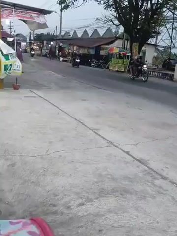 The video shows a street scene with several motorcycles passing by. There are market stalls or food vendors on the left side of the road, with awnings and colorful umbrellas. A large tree is visible on the right side of the road. The ground in the foreground appears to be a concrete sidewalk. The overall lighting suggests it is either early morning or late afternoon.