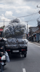Everyday street life near a Balinese temple in Abiansemal