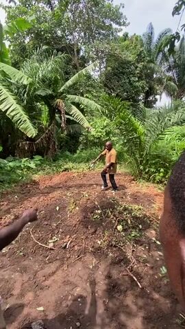 The video shows a scene in a lush, green outdoor environment with dense vegetation, including palm trees and banana plants. In the foreground, two individuals are partially visible, facing away from the camera. Their backs and sides are shown, and they are wearing patterned shirts and pants. In the mid-ground, a third individual is actively engaged in some activity on a raised mound of dark soil. This person is wearing a light-colored shirt and dark pants and appears to be holding a small white object in one hand and a brown object in the other. The person is bent over the mound, seemingly tending to it. The ground is covered in loose soil, some vegetation, and debris. The overall impression is one of manual labor or agricultural activity in a tropical setting.