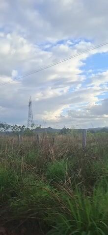 The video shows a field of tall green and brown grass on a partly cloudy day. In the distance are electrical towers. Electrical wires run across the top of the view. Some trees can also be seen. The video is shaky, and appears to be taken from a moving vehicle.