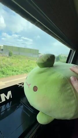 This video captures a close-up view of a light green plush toy, shaped like an avocado, placed near a car window. A human hand, adorned with a ring on the index finger, gently rests on the plush toy. Through the window, a landscape of rural Vietnam is visible, with green vegetation, scattered buildings, and a cloudy sky suggesting it's daytime. The overall mood appears calm and relaxed, possibly during a car journey. The visible text on a black surface in the foreground reads "MIAM".
