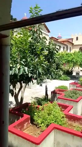 The video pans across a courtyard, showing a building with a dome and a cross on top, possibly a church. There are several trees and planters with greenery. The planters are concrete and have red painted edges, arranged in a geometric pattern. Sunlight suggests it is daytime.