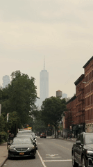 Manhattan street view and passionflower close-ups, July 2026