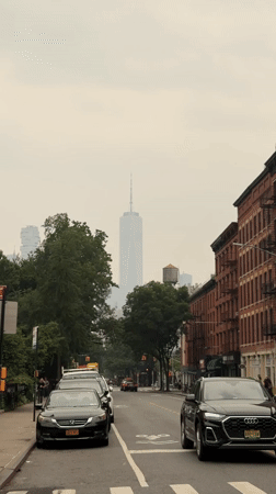 Manhattan street view and passionflower close-ups, July 2026