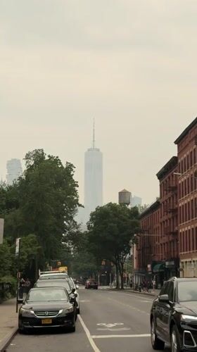 Manhattan street view and passionflower close-ups, July 2026