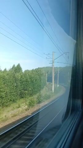 This is a first-person perspective video from inside a moving train. The view is through a window, showing the landscape outside. On the left side of the frame, a dense forest of green trees lines the side of the train tracks. The tracks themselves curve to the right, disappearing into the distance. Overhead, there are power lines supported by tall poles, typical of electrified train routes. The sky is a clear blue, indicating a daytime scene. The reflection of the interior of the train is visible on the window, obscuring some of the view. The train appears to be traveling at a moderate speed, as the scenery is in motion but not blurred excessively. There are no people visible in the frame.