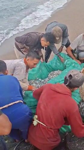 Community fishing operation brings in silver catch in Lhokseumawe