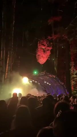 The video shows a nighttime outdoor event in a wooded area. A crowd of people are gathered in front of a geodesic dome structure, which is lit with colorful lights and smoke effects. Above the dome, suspended from trees, are several large, abstract art installations. One appears to be a large, distorted face, while another is a cluster of lights and organic materials. The lighting is dynamic and changes colors, creating a vibrant and energetic atmosphere. The people are mostly facing the dome, suggesting they are watching a performance or presentation.