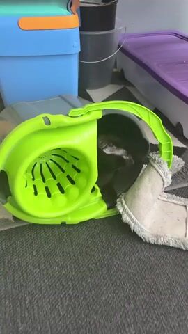 A black kitten with yellow eyes peeks out from a bright green mop bucket. The kitten is mostly hidden within the bucket, with only its face visible. The bucket is on a gray surface, possibly a floor or rug, and next to it is a mop. In the background, there are various plastic containers, one blue and one purple. The lighting is bright, suggesting an indoor environment.