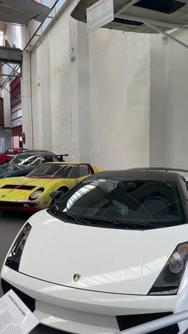 The video shows a row of cars parked indoors. In the foreground, a white Lamborghini Gallardo is visible, followed by a yellow Lamborghini Miura with an artistic paint job, and a dark green classic car. In the background, a red convertible is parked. The cars are displayed in what appears to be a museum or exhibition space, with white walls and a high ceiling. There is no visible human presence or interaction with the vehicles.