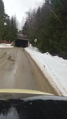 The video shows a road leading to a tunnel in a forested area. It appears to be winter as there is snow on the side of the road. A car emerges from the tunnel. The road is wet, and there are trees on both sides of the road.  A road sign and a round reflective mirror stand beside the road. The view is from inside a vehicle, likely the dashboard area.