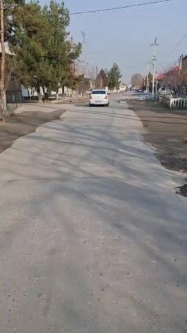 The video shows a white car driving away on a cracked, gray road. Trees line the left side of the road, casting long shadows. Buildings are visible on both sides of the road, along with utility poles and wires. The sky is pale blue.