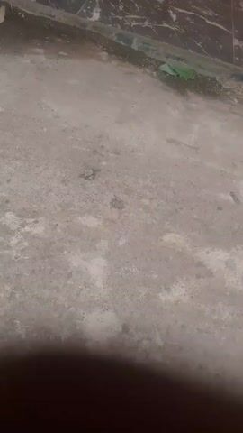 The video shows a concrete ground with dirt and some plants growing on the side. Part of a black and gray tile wall is visible in the upper left corner. The video is shaky and the lighting is poor. There are no people, objects, actions, or interactions visible other than the still environment.