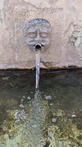 A close-up video shows a stone fountain spout in the shape of a human face with a mustache. Water streams from the mouth of the face into a dark pool of water below. Bubbles form on the surface of the water as the stream hits it. The fountain is mounted on a textured, light-colored stone wall. The video is a short loop, showing the water flowing continuously.