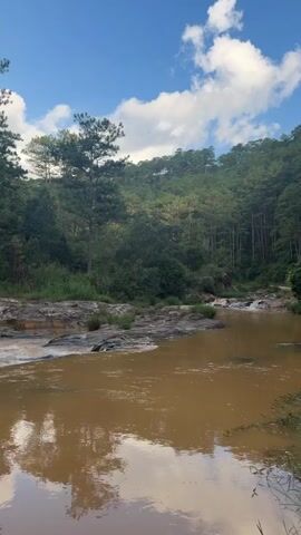 A vertical, handheld shot pans across a muddy river flowing through a rocky, wooded area. Pine trees dominate the background, with a dense forest covering a hillside under a partly cloudy blue sky. The water is a murky brown and reflects the sky and trees. Rocks are visible in the foreground, some submerged in the water, and others forming a small cascade. The overall scene is serene and natural.