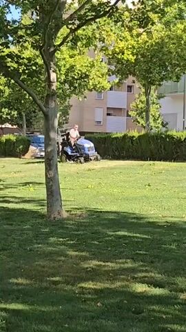 A person rides a blue lawnmower across a grassy area. The lawnmower is cutting the grass. A large tree is on the left side of the frame, with its leaves casting shadows. In the background, there is a hedge, a building, and a street with a car. The sun is shining, indicating it is daytime. The video is shot from a distance.