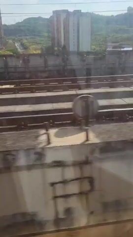 The video shows a view from inside a moving train, looking out at multiple sets of parallel train tracks. The tracks are constructed with concrete supports and metal rails. In the background, there's a cityscape that includes buildings, a hill covered in trees, and a transmission tower. The light appears to be from a sunny day.