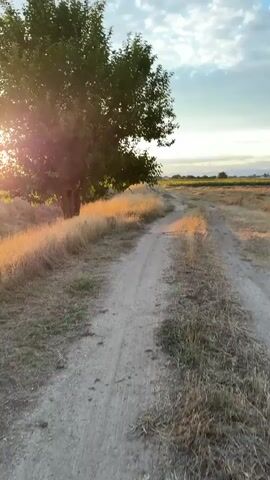 A person wearing a motocross helmet and goggles is seen resting their eyes against dry, tall grass with a dirt path beside them. The sun is setting, casting a warm glow on the landscape. The path leads through a field with a single tree and a distant line of trees. The sky is partly cloudy with shades of orange and blue.