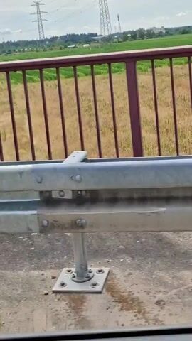 The video begins with a view of a rural landscape, dominated by a bright, overcast sky. In the foreground, a weathered metal railing, painted a deep maroon, forms a barrier. Below it, a concrete structure with a gray metal guardrail is visible. The camera perspective suggests it's mounted on or near a bridge, looking outwards.

Beyond the railing, a field of dry, golden grass stretches towards a highway. The highway is visible as a gray strip cutting through the landscape, with cars occasionally passing by. In the distance, large electricity pylons stand tall against the sky, indicating the presence of significant power infrastructure. A line of green trees borders the far side of the highway, followed by a lush green field, possibly farmland, under cultivation. The overall impression is one of a semi-industrialized rural area.

As the video progresses, the camera moves, offering a slightly altered view of the same scene. The angle shifts, revealing more of the highway and the surrounding vegetation. A light blue car is seen driving on the highway in one shot. The sky remains overcast, suggesting a mild or possibly humid day. There is no discernible text in the video. The scene evokes a sense of travel or transit, perhaps from a moving vehicle on a bridge overlooking a highway. The setting appears to be Rastatt, Germany, as indicated by the location context.
