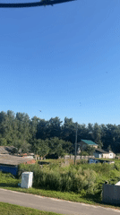 Swifts over a Russian village on a clear summer morning