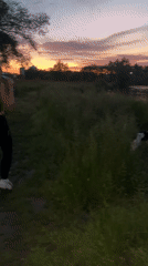 Evening dog walk captured along Plovdiv riverside at sunset