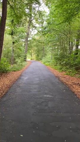 This is a vertical, first-person perspective video of a paved path through a forest. The path is dark gray and appears wet in places. It curves slightly to the left as it recedes into the distance. The path is bordered on both sides by a strip of dry, fallen leaves in shades of brown and orange. Tall trees with lush green foliage rise on either side of the path, creating a canopy overhead. The leaves on the trees are predominantly green, though some lighter green and yellowish hues are visible, suggesting it may be early autumn. The lighting is overcast, with no direct sunlight visible, creating a soft, diffused light. The overall impression is one of a serene, natural environment.