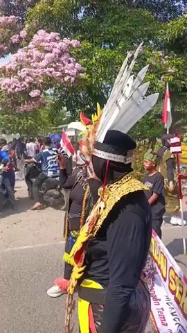 This is a vertical, medium shot video of a parade celebrating Indonesian Independence Day. In the foreground, a woman wearing a black hijab and a black outfit with a gold and yellow headdress decorated with feathers and fur is visible from the chest up. To her right, a banner held by two people reads "JALAN SEHAT MEMPERINGATI HUT RI KE-78 KEMERDEKAAN INDONESIA DENGAN TEMA DAYAK". The banner features cartoon characters dressed in traditional Dayak attire. Behind the banner, a man in a gold headdress and wings, and a woman in a red outfit with a white headdress adorned with feathers are visible. Several people in the background are watching the parade, and a motorcycle is parked on the left side. The environment appears to be a street lined with trees, including a tree with pink flowers in bloom. An Indonesian flag is also visible in the background. The overall atmosphere is festive and celebratory.