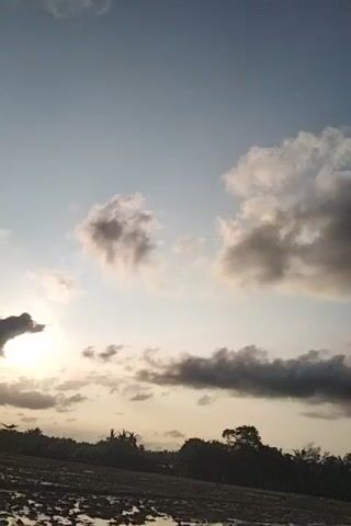 The video shows a cloudy sky and a silhouetted tree line. The sun is visible behind some clouds, casting a warm glow on the scene. The camera angle is from below, looking up at the sky. The video appears to be taken during the day, possibly at sunrise or sunset.