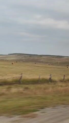 The video shows a view from a moving vehicle of a rural landscape under a cloudy sky. In the foreground, a wooden fence runs along the side of the road. Beyond the fence is a field of dry grass, with several round bales of hay scattered throughout. Further in the distance, rolling hills are covered in grass and a few scattered trees. Telephone poles are visible in the mid-ground. The overall impression is of a quiet, agricultural area.