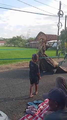 The video shows a child in an elaborate costume standing on a road beside a lush green rice field. The child’s costume includes a headdress, an ornate dress, and a long train. Two young children, a girl and a boy, stand in front of the child in costume, seemingly fascinated by the sight. A woman in a hijab stands near the costumed child, possibly helping with the train. The background shows a rural setting with houses and telephone poles. A motorcycle is parked nearby, and people are seated on a mat in the foreground, possibly watching the scene unfold. The overall atmosphere seems festive and celebratory, as if the costumed child is part of a local event or performance.