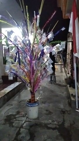 This video, filmed in Rambipuji, Indonesia, captures a night scene featuring a decorative tree-like structure adorned with numerous banknotes. The "tree" is a bundle of colorful, thin branches and foliage, predominantly in shades of purple, pink, yellow, and green, which are sticking out of a white bucket. Banknotes, folded and attached to the branches, appear to be the main decorative element. The setting seems to be outdoors, possibly a street or courtyard, with a paved surface and some architectural elements visible in the background, including what looks like part of a roof and a building with a window or doorway. The lighting suggests it is nighttime, with artificial lights illuminating the scene. A person's face is partially visible in the foreground in the latter half of the video, implying they are observing or participating in the event. The overall atmosphere is festive, likely related to a local tradition or celebration where such offerings are customary. No discernable text is visible.