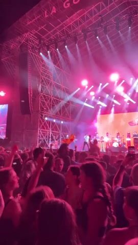 A concert crowd is watching a band perform on a lit stage. The band members are visible on the stage, playing instruments and singing. The stage is bathed in red and white lights, and a large metal structure stands behind it. The crowd is dense, with people standing close together, and many are holding up their hands and cheering. A person in the crowd is holding a flag. The name “LA GOSSA SORDA” is displayed on the top of the stage structure. A person near the camera is wearing a shirt that says “CRIM” on the back.