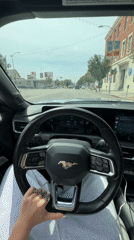 Driver in grey sweatpants observed in Ford Mustang, Los Angeles