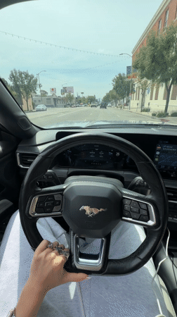 Driver in grey sweatpants observed in Ford Mustang, Los Angeles