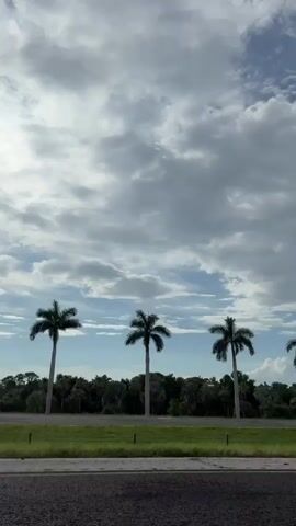 The video shows a roadside view of a highway. In the foreground, there is a gray asphalt road. Beyond that, a strip of green grass separates the road from a line of palm trees and other vegetation. The sky is filled with dramatic clouds, with patches of blue sky visible and the sun partially obscured by the clouds. Several vehicles are seen driving on the highway. At the beginning of the clip, a white flatbed truck is visible. Further along, a white SUV drives by, followed by a darker colored car. A tall light pole with multiple lights is also visible in the distance. The overall impression is of a typical day on a highway with passing traffic and natural scenery.