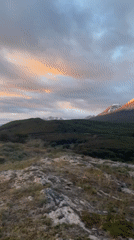 Evening camping expedition with dogs near Ushuaia mountains