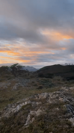 Evening camping expedition with dogs near Ushuaia mountains